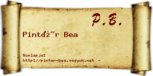 Pintér Bea névjegykártya